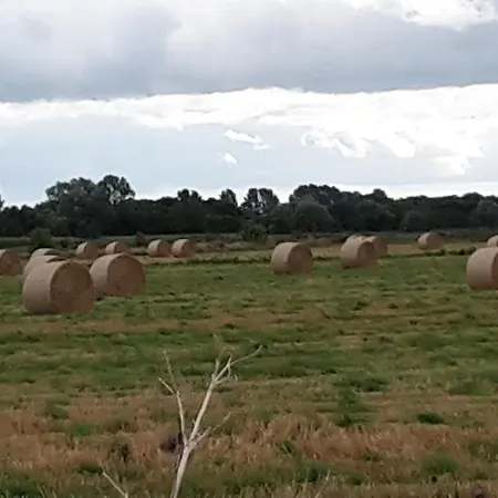 Achterhof - Whg 2 Bachstelze