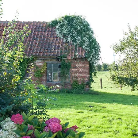 아파트 Achterhof - Whg 2 Bachstelze